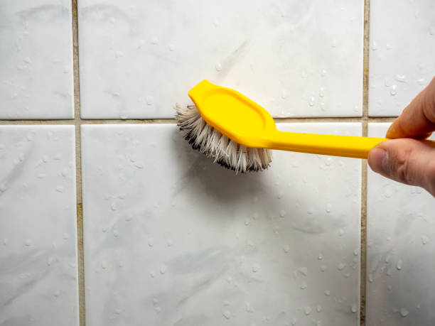 Best Bathroom Mold Remediation in Cathcart, WA