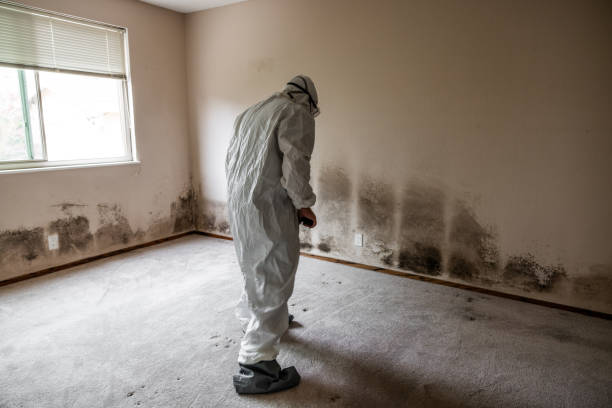 Best Industrial Mold Remediation in Cathcart, WA